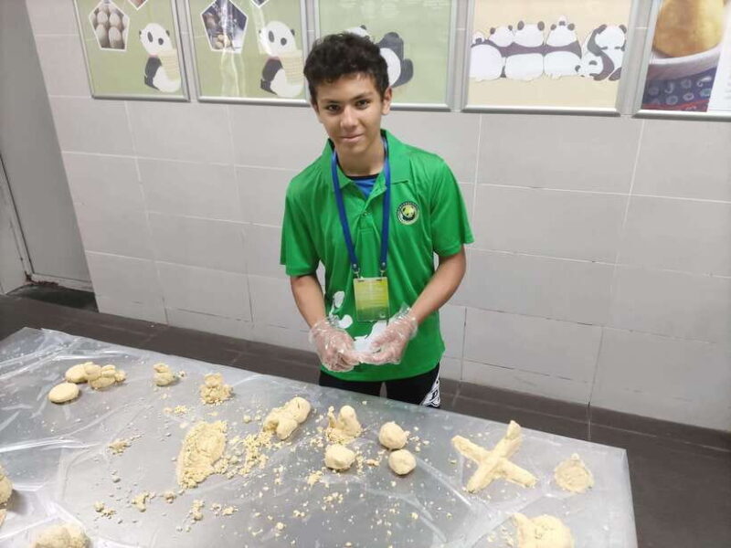 Chengdu: Dujiangyan Panda Volunteer Program with Lunch - A Closer Look at the Panda Volunteer Day