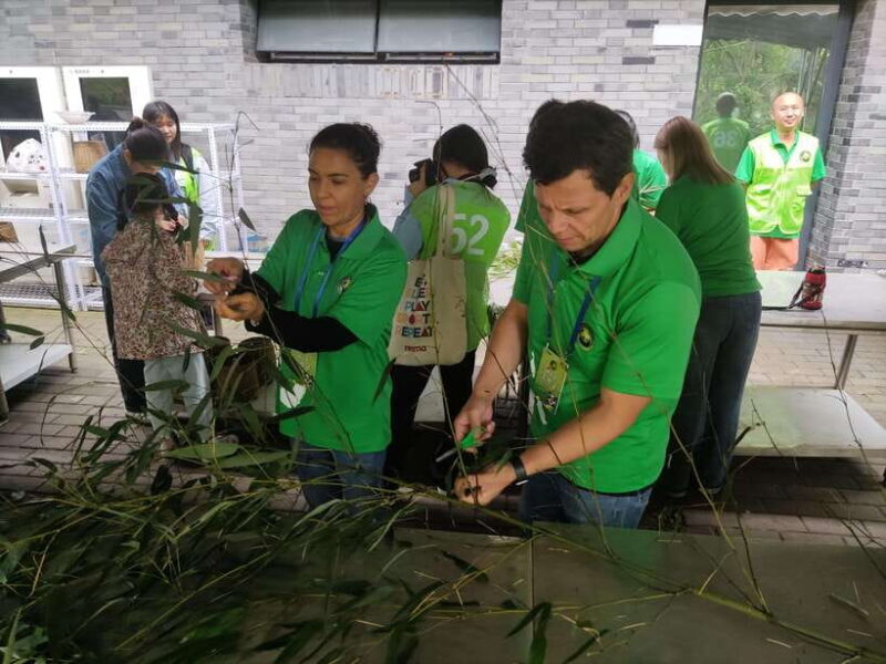 Chengdu: Dujiangyan Panda Volunteer Program with Lunch - What Makes This Tour Stand Out?