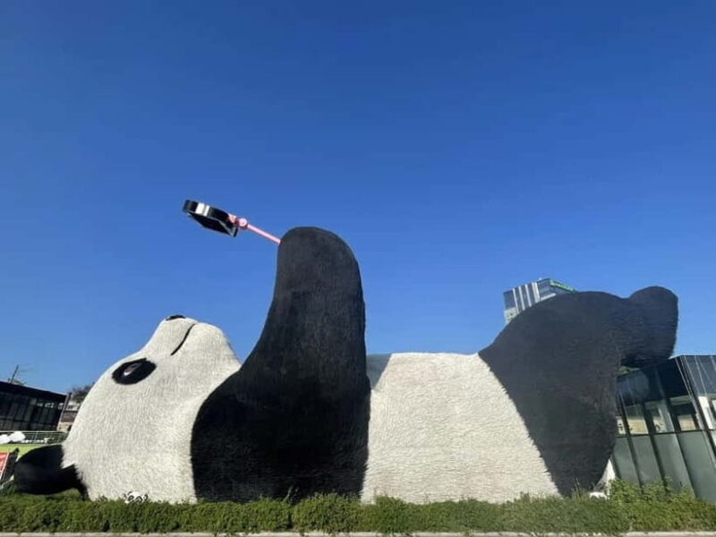 Chengdu: Dujiangyan, Qingcheng Mountain, and Blue Tears Tour - Potential Drawbacks or Considerations