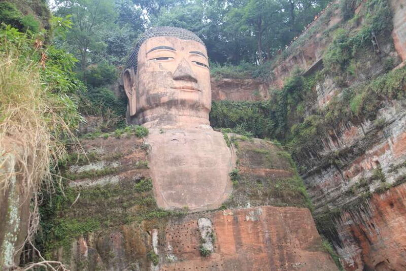 Chengdu: Giant Panda and Leshan Buddha Sall Group Day Tour - Who This Tour Is Best For