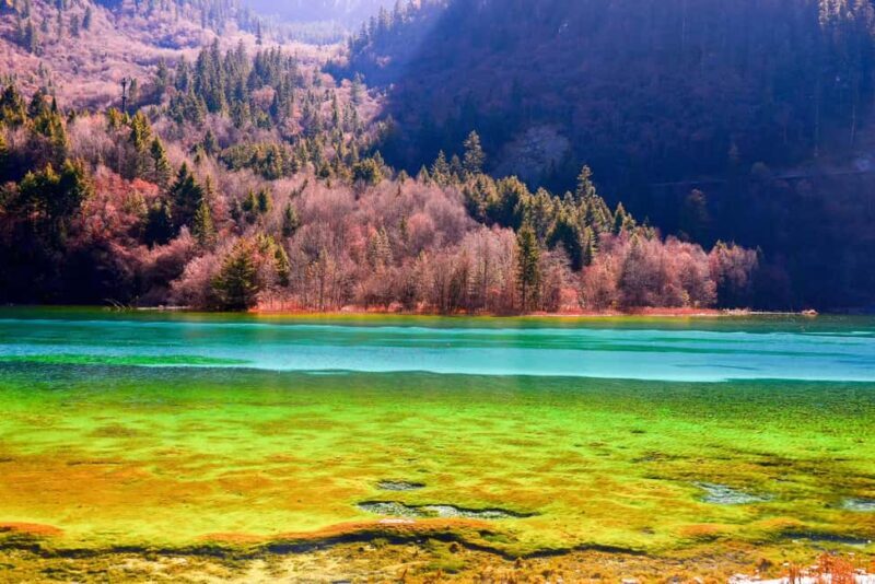Chengdu: Jiuzhaigou+Huanglong 2-Day private Tour - In-Depth Experience Breakdown