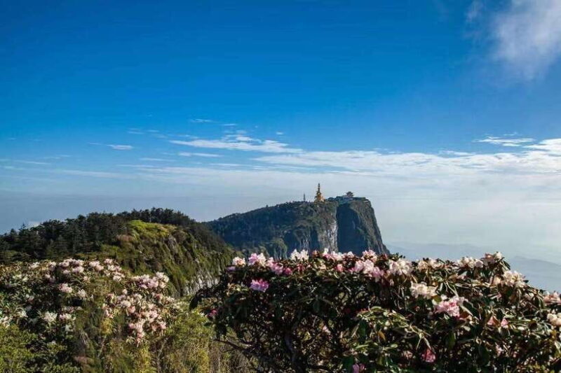 Chengdu: Leshan Buddha and Emeishan Guided 2-Day Trip - Who Should Consider This Tour?