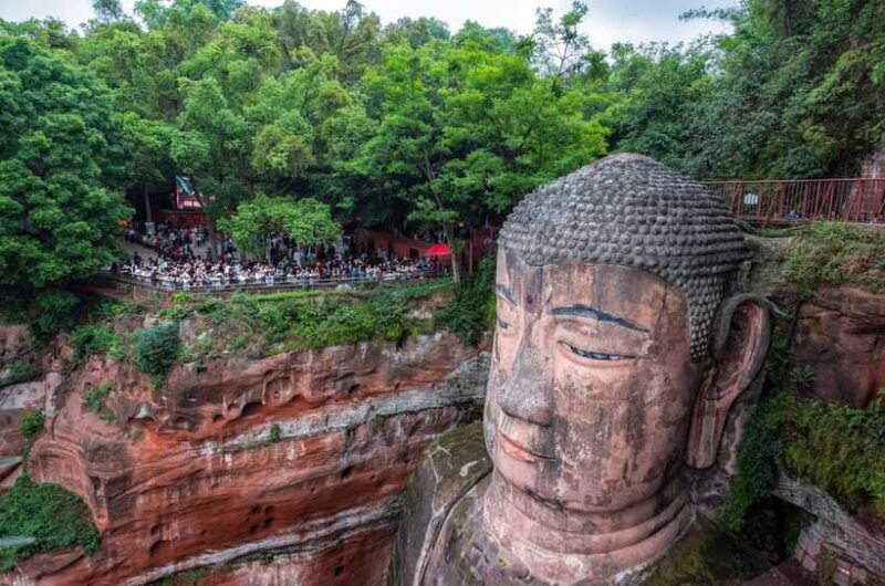 Chengdu: Panda Base and Leshan Giant Buddha Day Tour - Who will love this tour?