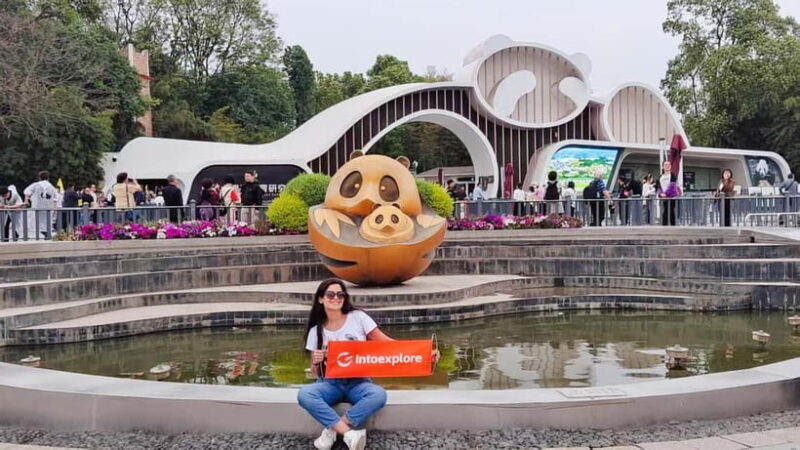 Chengdu Panda Base and Luodai Ancient Town One-Day Tour - Practical Details and What Travelers Need to Know