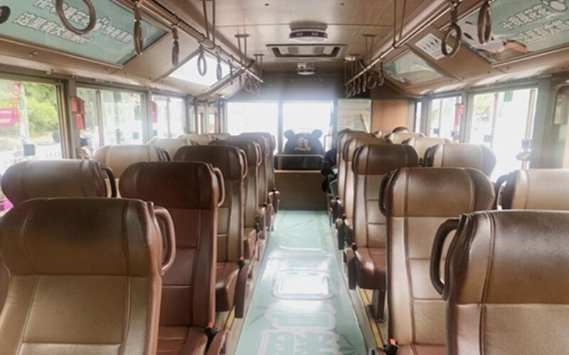 Chengdu panda base half day tour - Who Should Consider This Tour?