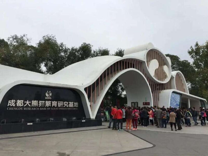 Chengdu: Panda Base Tour/Ticket Only Option - The Sum Up