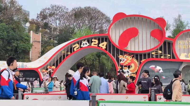 Chengdu: Panda Breeding Base Tickets Booking - Final Thoughts: Is This Tour Worth It?