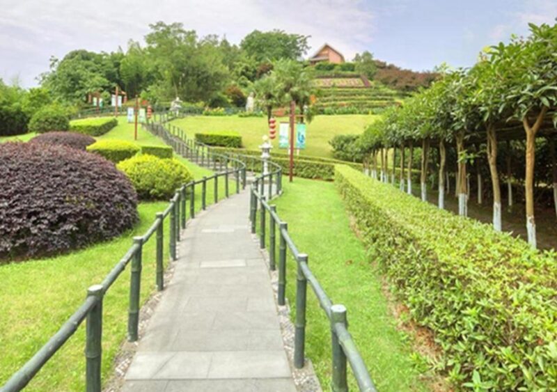 Chengdu panda & Leshan Buddha One Day Private Tour - Who Would Love This Tour?