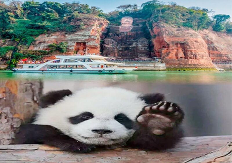 Chengdu panda & Leshan Buddha One Day Private Tour - Detailed Breakdown of the Itinerary
