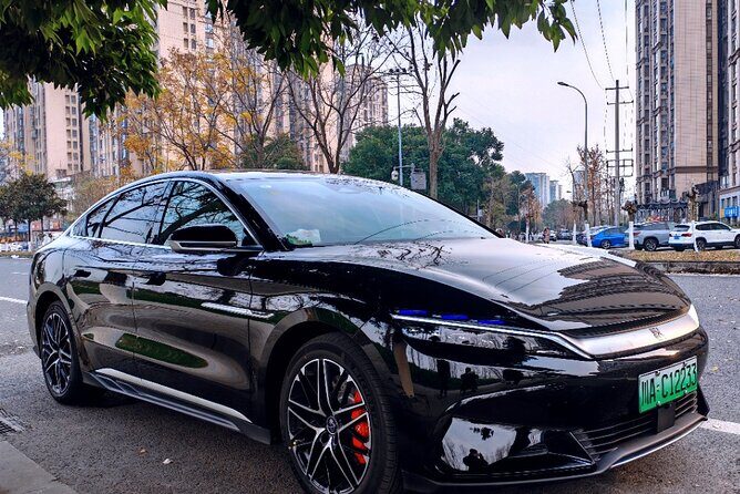 Chengdu Panda & Leshan Giant Buddha Premium Private Day Tour - A Complete Look at Chengdu’s Panda & Leshan Giant Buddha Private Day Tour