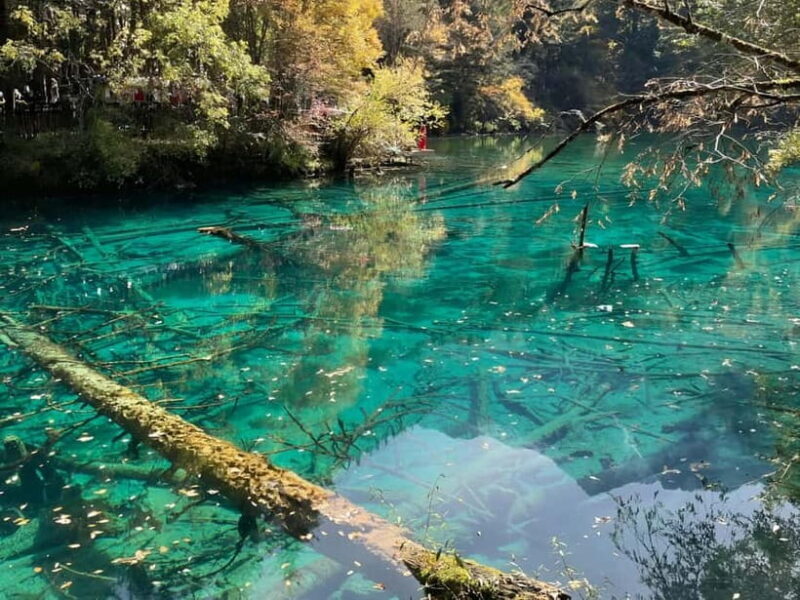 Chengdu: private 2-Day Huanglong Jiuzhaigou tour by train - Final Thoughts
