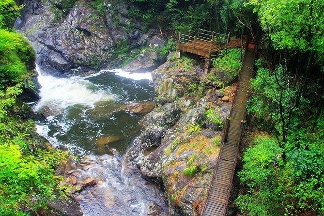 Chengdu Private Day Tour: Du jiang yan Panda Base and Qingcheng Mountain - FAQs