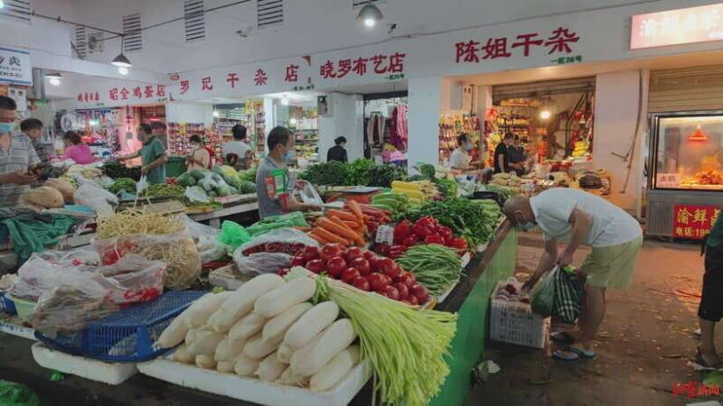 Chengdu: Private Panda Base and Sichuan Cuisine Tour - Discovering Chengdu’s Highlights in One Day