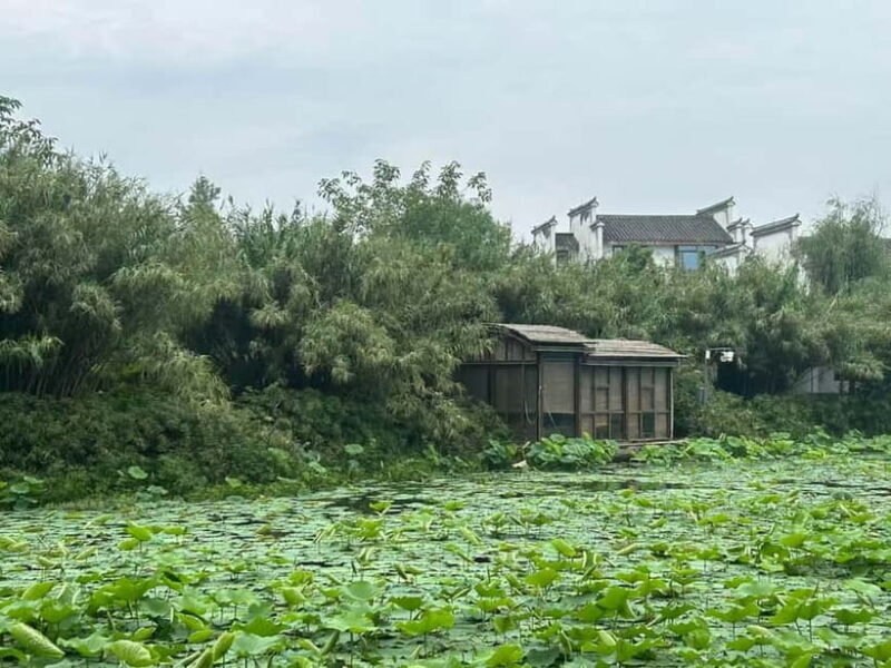 Chengdu: Visit the countryside of China - Why Choose This Tour?