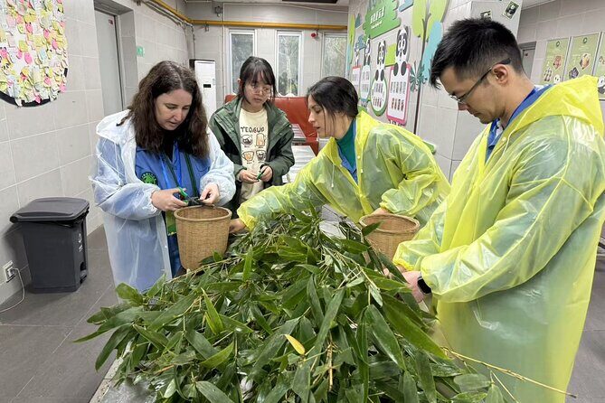 Chengdu: Volunteer Day Experience at Dujiangyan Panda base - What Sets This Tour Apart?