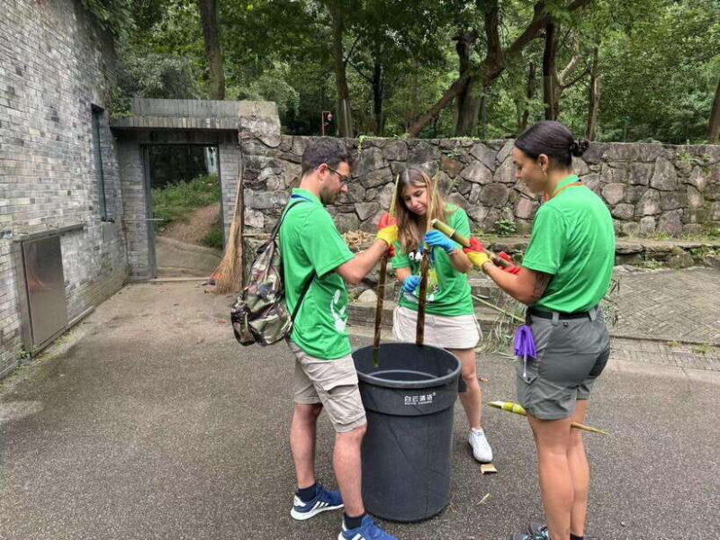 Chengdu: Volunteer Day Experience at Dujiangyan Panda base - Why Choose This Tour?