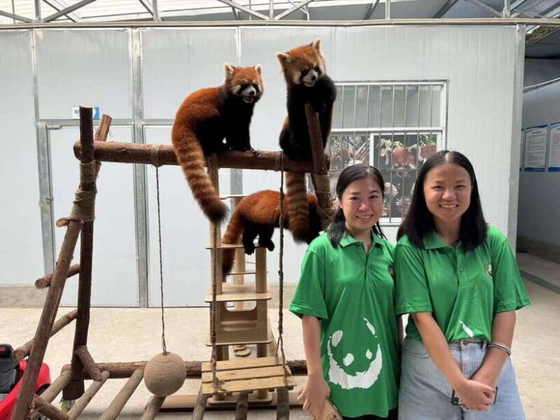 Chengdu: Volunteer Day Experience at Dujiangyan Panda base - Who Will Appreciate This Tour?
