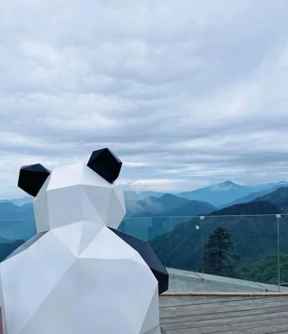Chengdu: Xiling Snow Mountain Tour with Cable Car & Hiking - The Sum Up