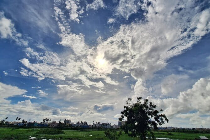 Chennai, Birding with Sound Approach, Spotting Scope, 2-3 hours - Authentic Reviews from Birders