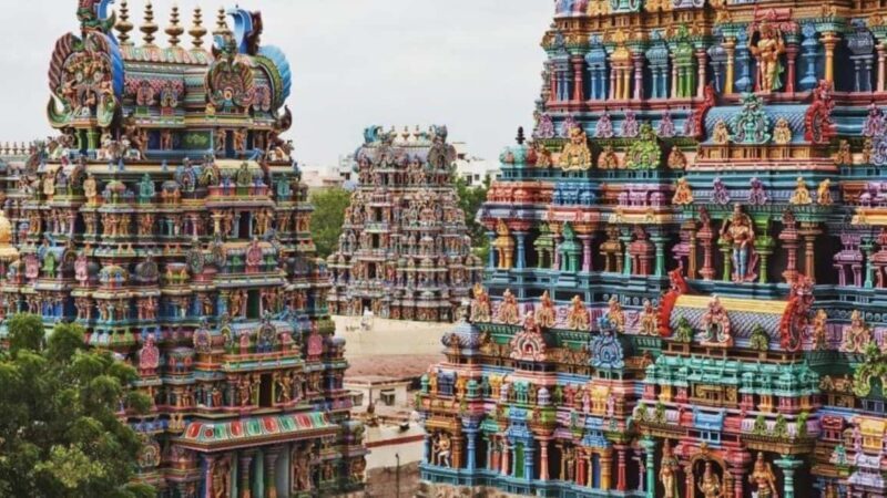 Chennai: Private Day Tour with Lunch and Guide - Key Points