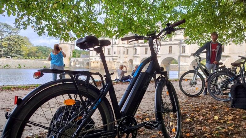 Chenonceau: guided ebike ride and wine & cheese picnic lunch - Why This Tour Stands Out