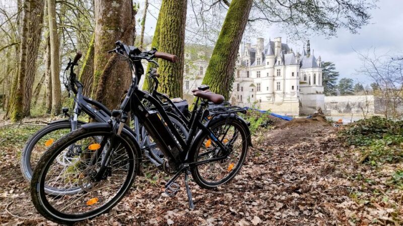 Chenonceau: guided ebike ride and wine & cheese picnic lunch - The Sum Up: Is It Worth It?