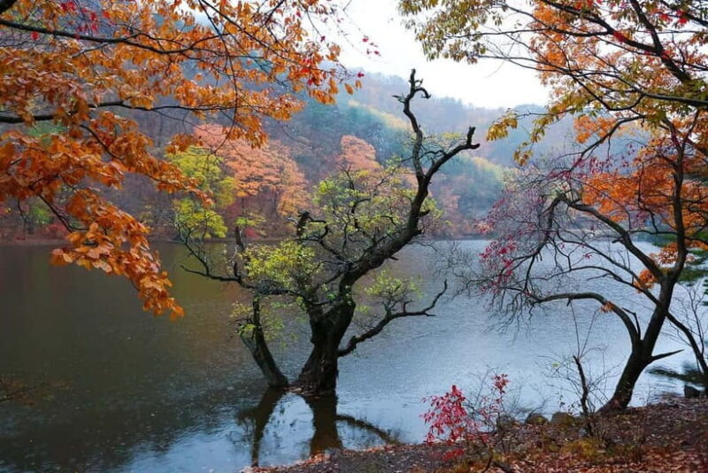 Cheongsong UNESCO GEO Park Hike From Andong - Why This Tour Is a Great Choice