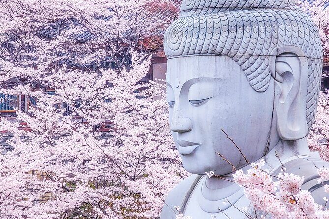 Cherry Blossom Buddha and Mt.Yoshino with Strawberry Picking Tour - Cherry Blossom Buddha and Mt. Yoshino with Strawberry Picking Tour: An In-Depth Look