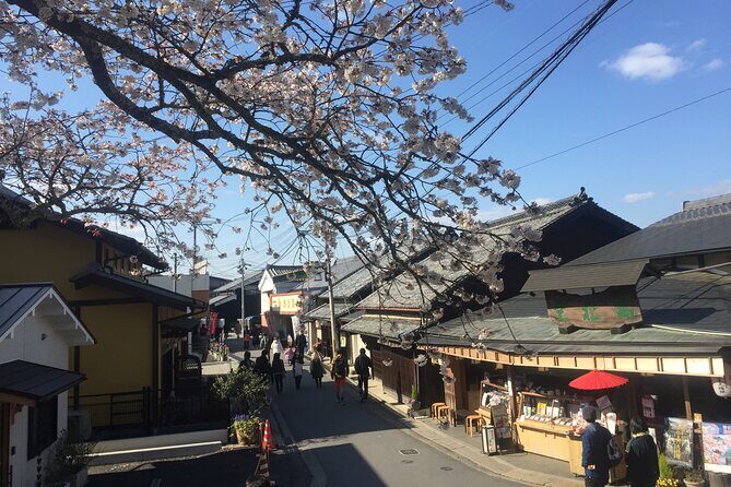 Cherry Blossom Buddha and Mt.Yoshino with Strawberry Picking Tour - Authentic Experiences and Authentic Value