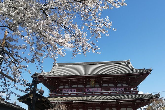 Cherry Blossom highlights, Asakusa, Ueno & Meiji shrine - FAQ about the Cherry Blossom Highlights Tour