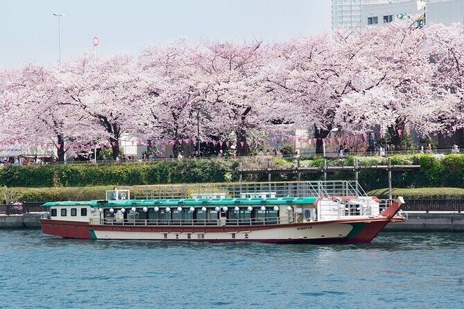 Cherry Blossom Sightseeing River Boat Experience - Key Points