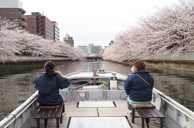Cherry Blossom Sightseeing River Boat Experience - FAQ