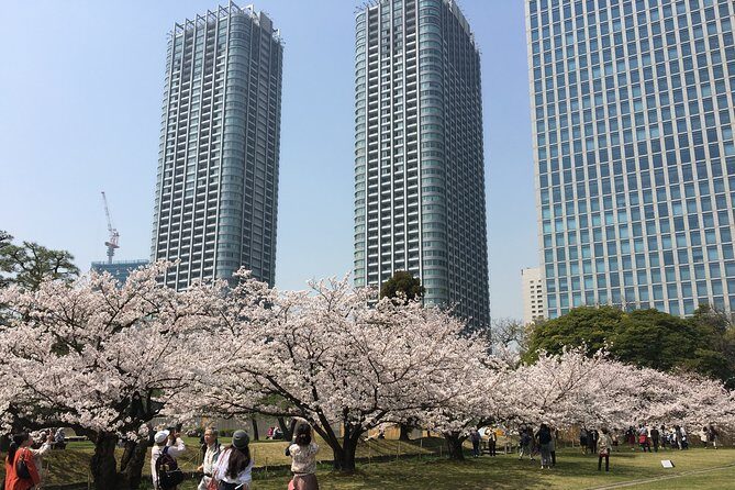 Cherry blossom tour in Tokyo - FAQs