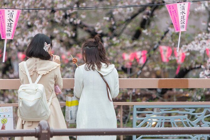 Cherry Blossom Viewing Tour at Meguro River with Authentic meal - Key Points
