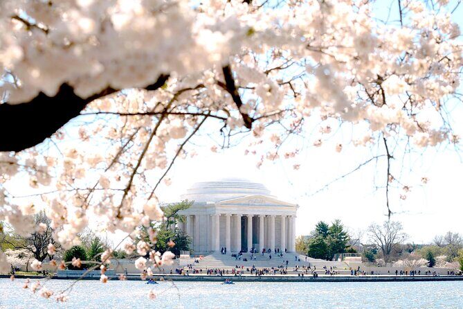 Cherry Blossoms & Monuments Tour with 10+ Stops and Boat Cruise - An Honest Look at the Cherry Blossoms & Monuments Tour