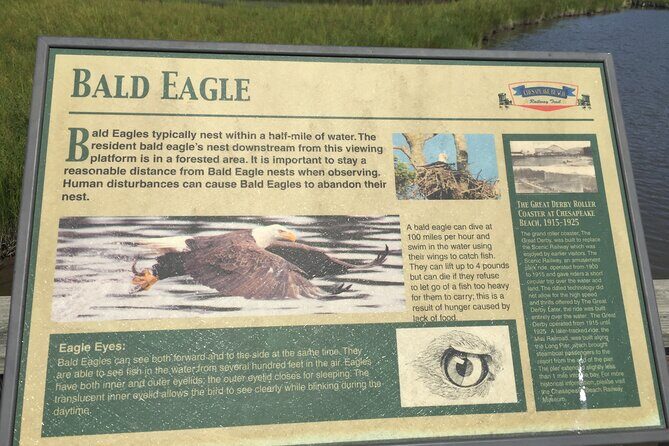 Chesapeake Beach Guided Walking Tour - Railway Trail - A Deep Dive into the Chesapeake Beach Railway Trail Tour