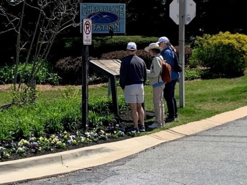 Chesapeake Beach: Guided Walking Tour to The Cliffs - Who Should Consider This Tour?