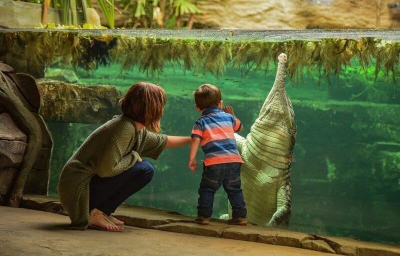Chester: Chester Zoo Entry Ticket - Final Thoughts