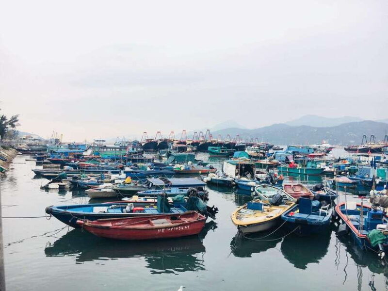 Cheung Chau Island: Walking Day Tour - Key Points