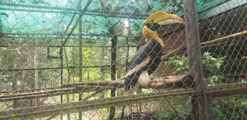 Chi so mountain _ Ta moa zoo_ Bati temple Tour - Key Points