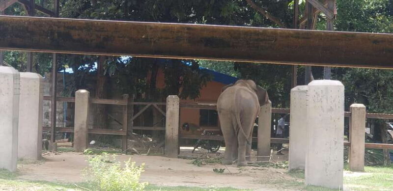 Chi so mountain _ Ta moa zoo_ Bati temple Tour - Who Will Love This Tour?