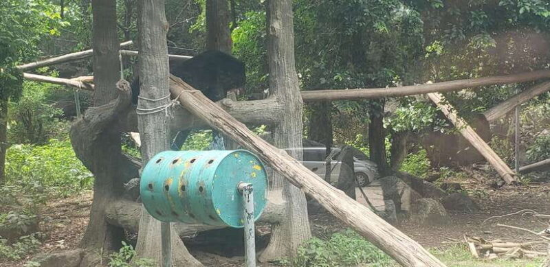 Chi so mountain _ Ta moa zoo_ Bati temple Tour - FAQ