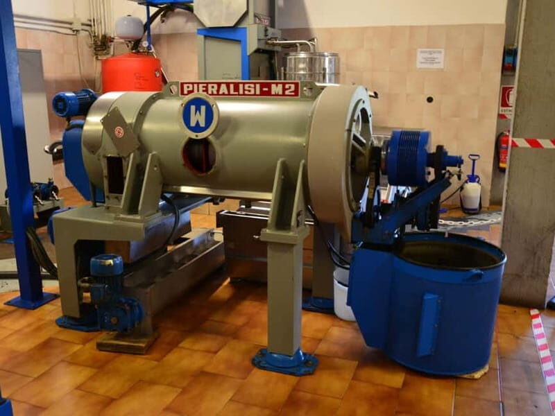 Chianciano: Olive Mill Tour with Oil and Food Tasting - The Authentic Flair and Why It Matters