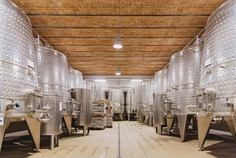 Chianciano Terme: Guided Winery Tour & Wine Tasting - Key Points