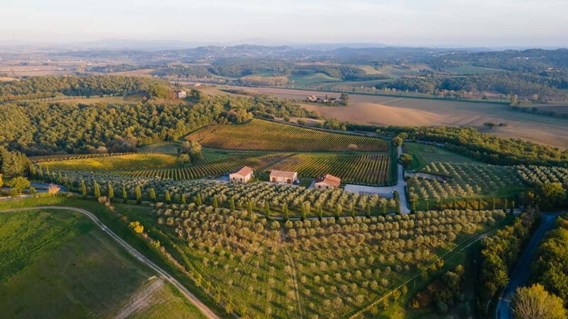 Chianciano Terme: Guided Winery Tour & Wine Tasting - The Sum Up