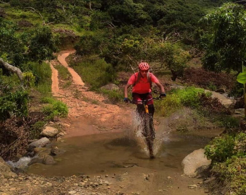 Chiang Mai: 20km Downhill Mountain Biking Challenge Suthep M - Who Will Love This Tour?