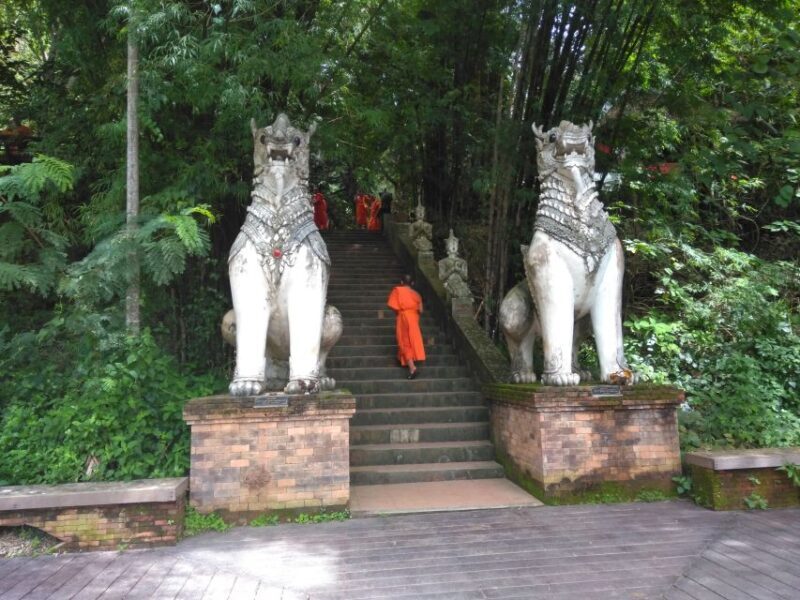 Chiang Mai: 7-Hour Doi Suthep National Park Summit Hiking - Key Points