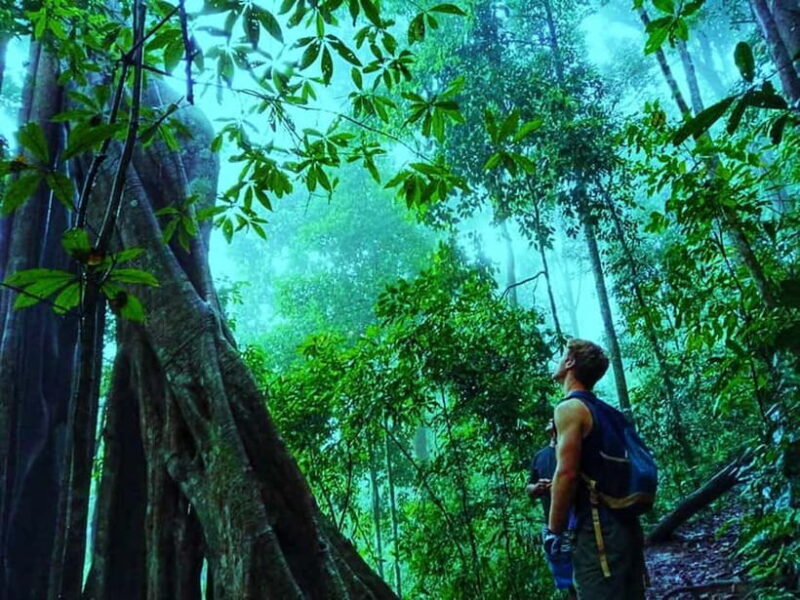 Chiang Mai: 7-Hour Doi Suthep National Park Summit Hiking - What’s Worth Knowing Before You Go