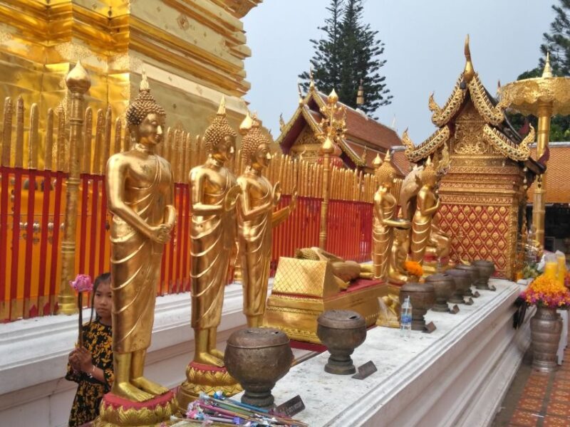 Chiang Mai: 7-Hour Doi Suthep National Park Summit Hiking - Authentic Experiences: Insights from Fellow Travelers