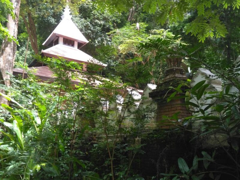 Chiang Mai: 7-Hour Doi Suthep National Park Summit Hiking - The Sum Up: Who Should Join This Tour?